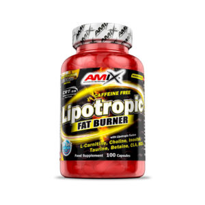 Amix - Lipotropic Fat Burner 100kap.